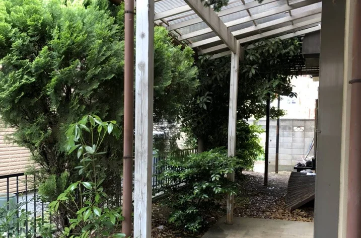 庭園・植栽管理